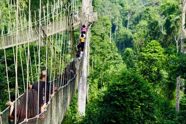 Kakum National Park