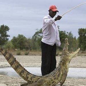 crocodile-pond ghana.
