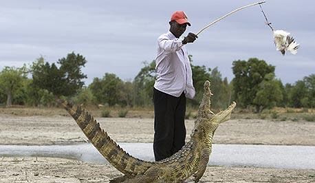 crocodile-pond ghana.